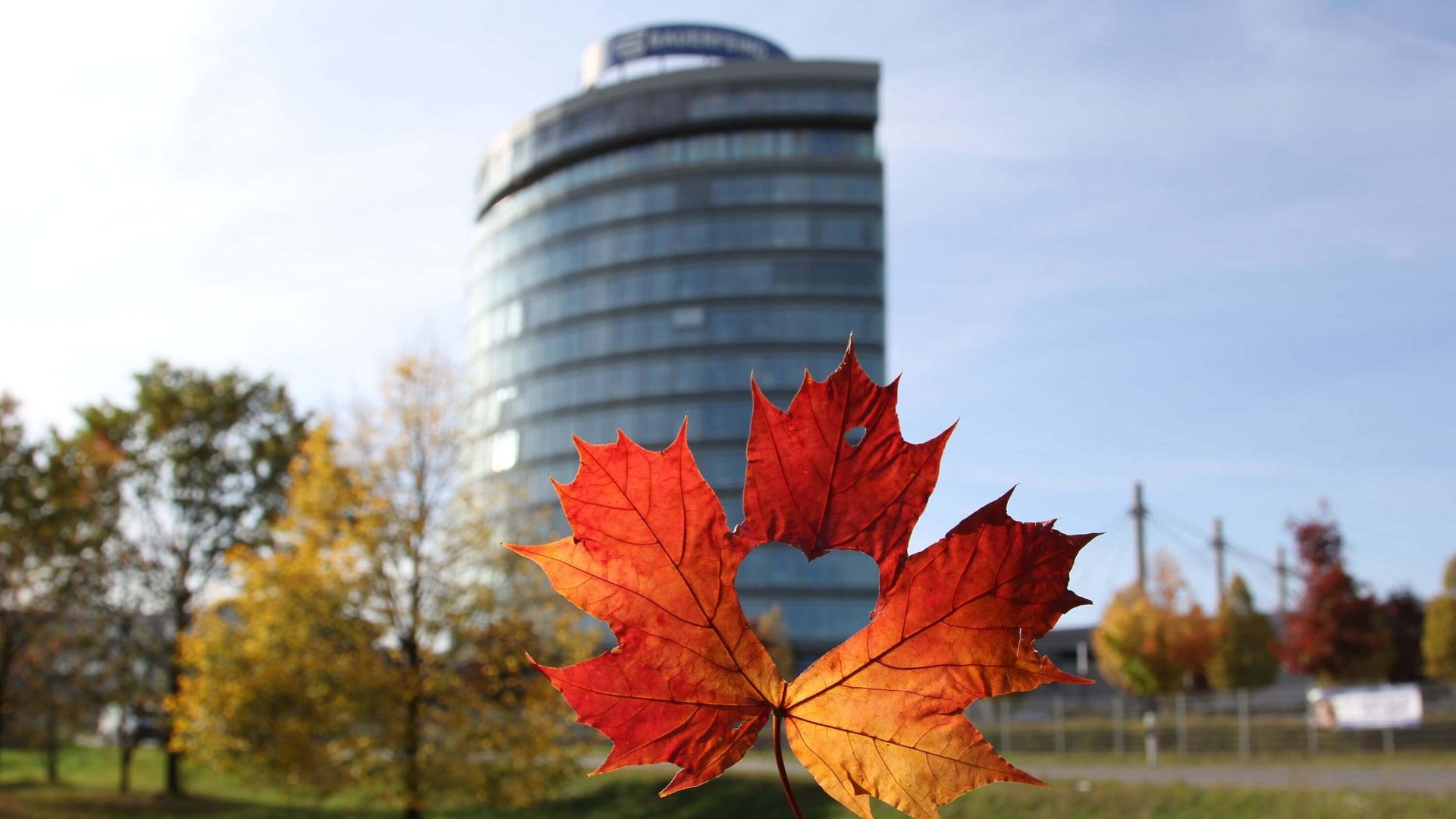 Herbstliches Ahornblatt mit Herzform-Ausschnitt in der Mitte, im Vordergrund scharf fokussiert, im Hintergrund ein modernes, rundes Bürogebäude mit Glasfassade und herbstlich gefärbte Bäume.